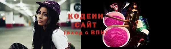 эйфоретик Арсеньев
