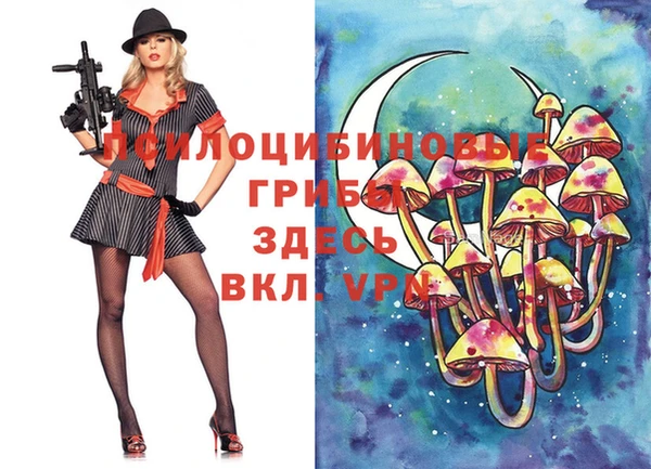 эйфоретик Арсеньев