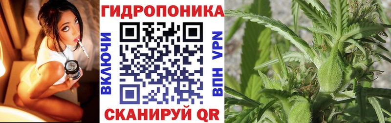 Бошки Шишки планчик  купить наркоту  Кувшиново 